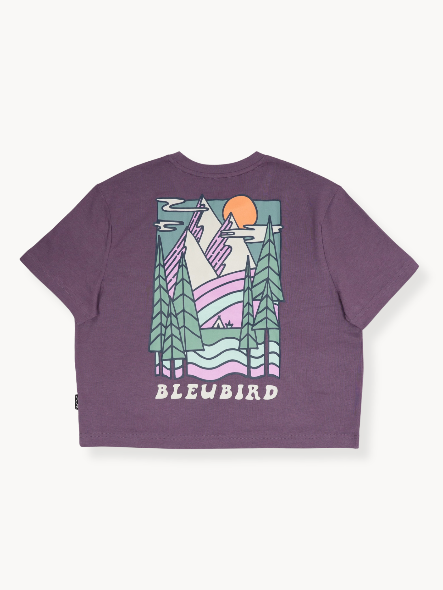 Trailhead Cropped Tee - Plum