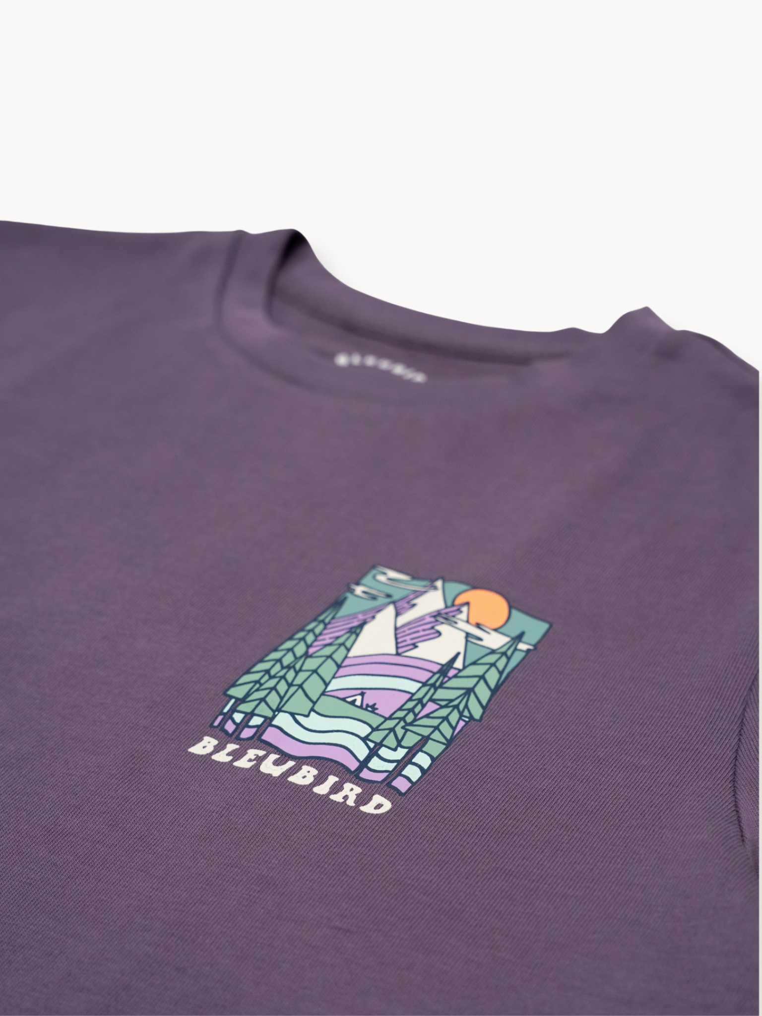 Trailhead Cropped Tee - Plum