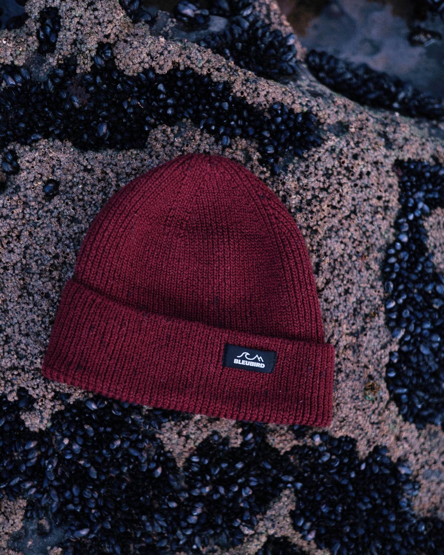 Elements Beanie Recycled - Burgundy