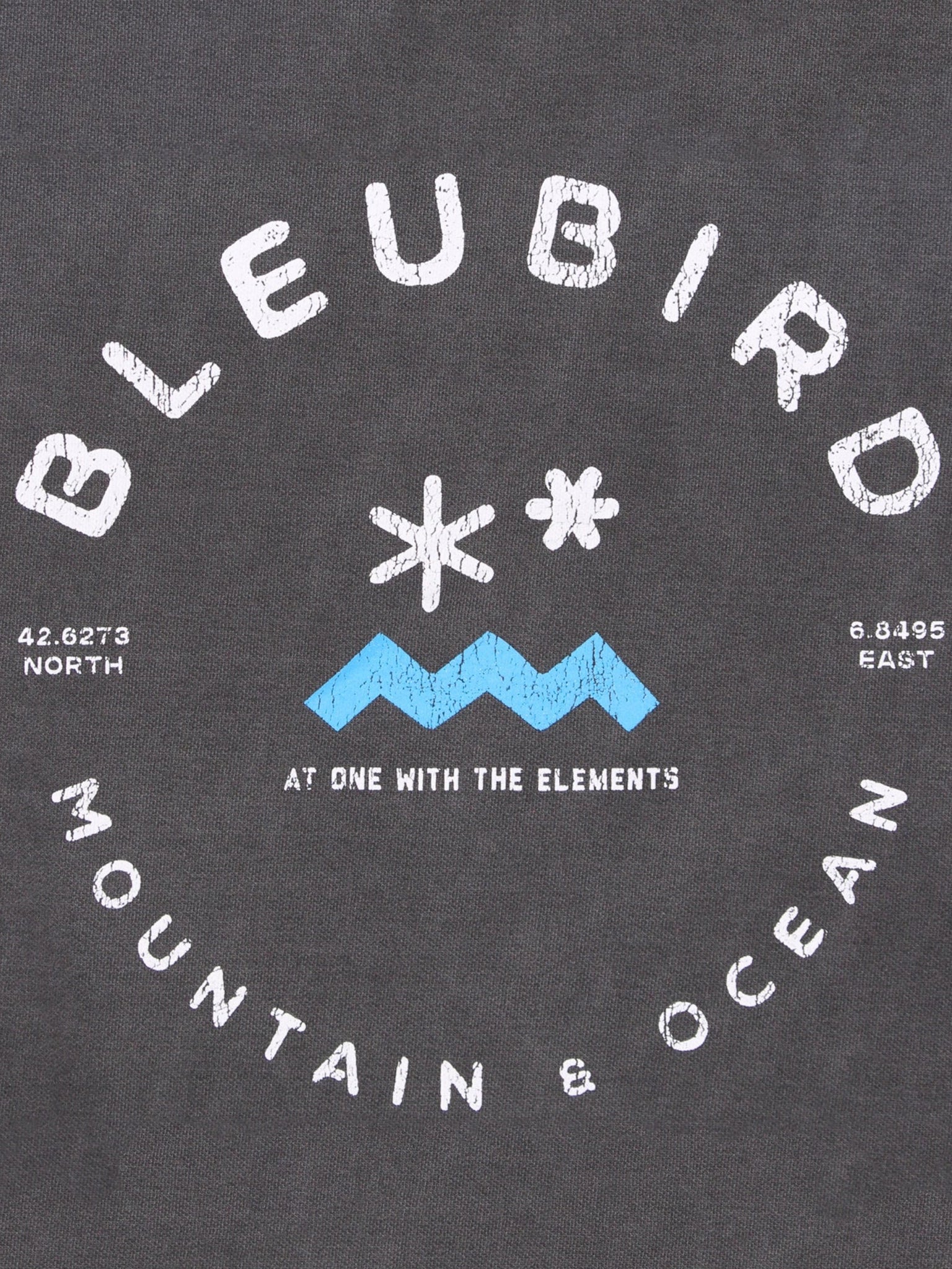 Charcoal Original Hood