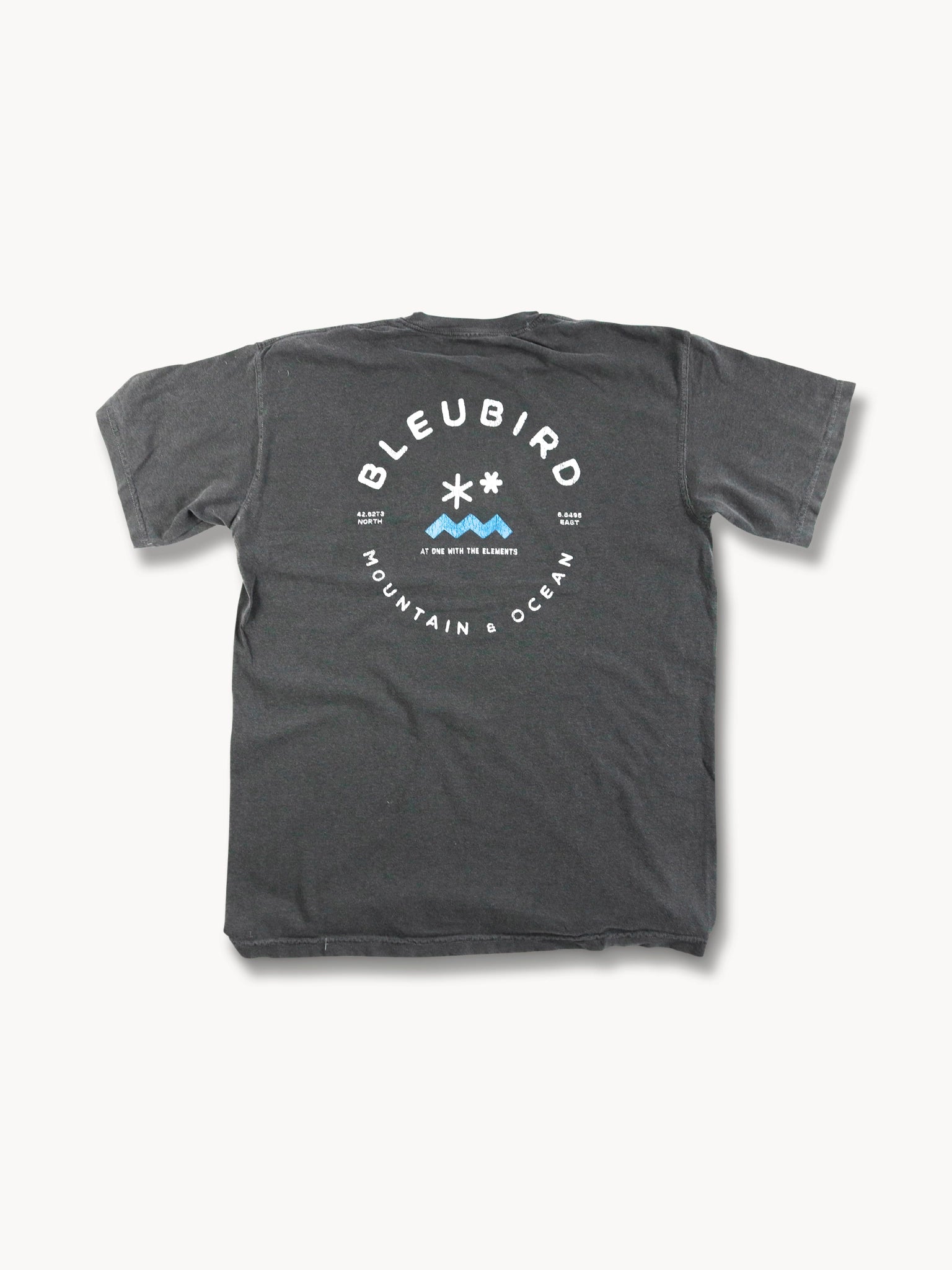 Charcoal Original Tee