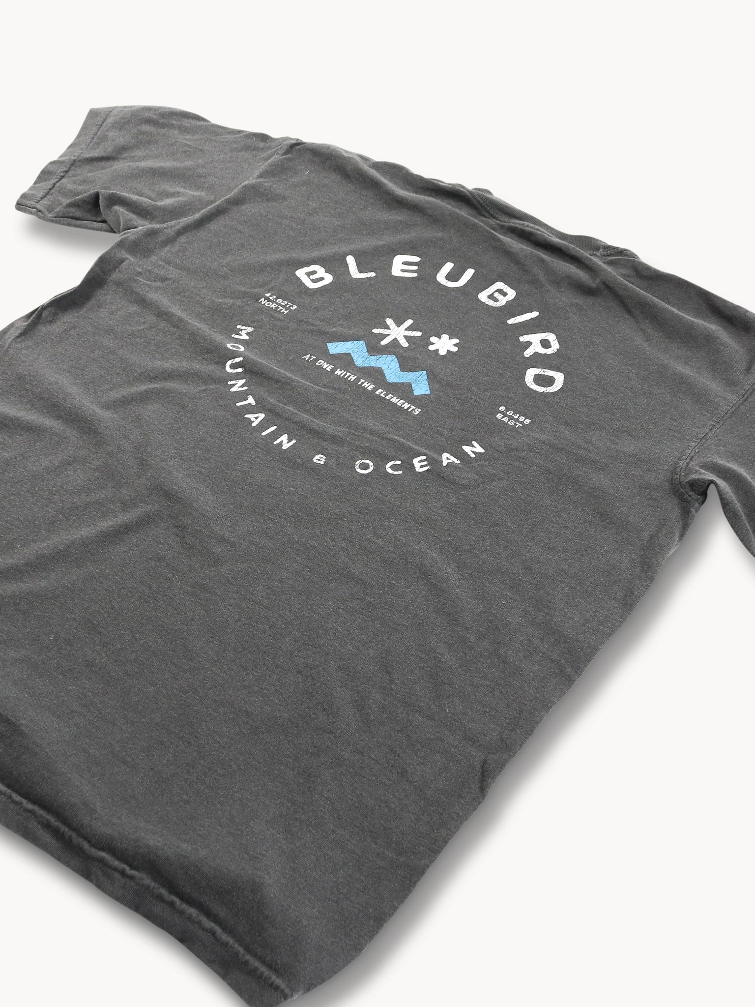 Charcoal Original Tee