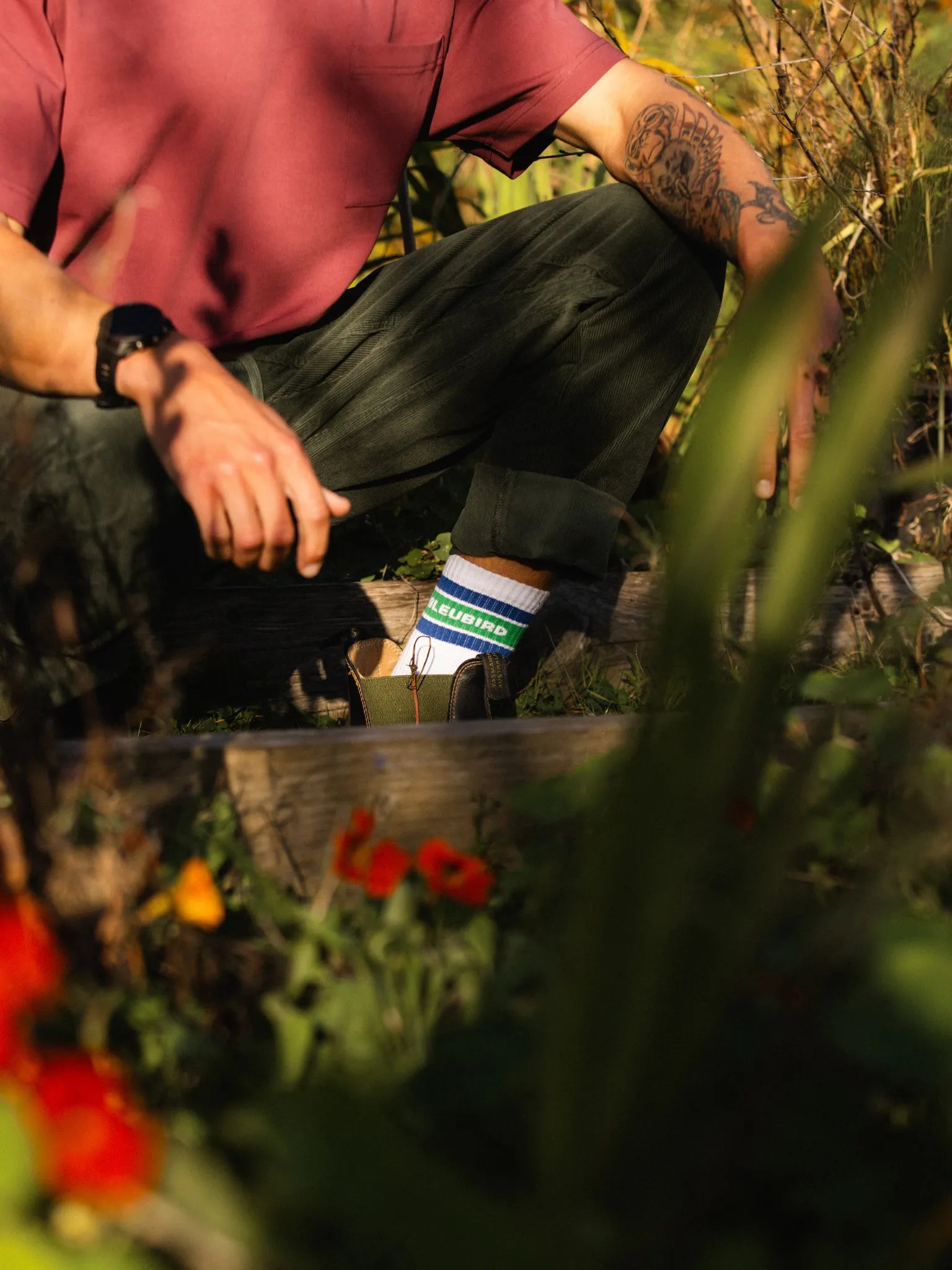 Crew Sock (OG) - Blue and Green