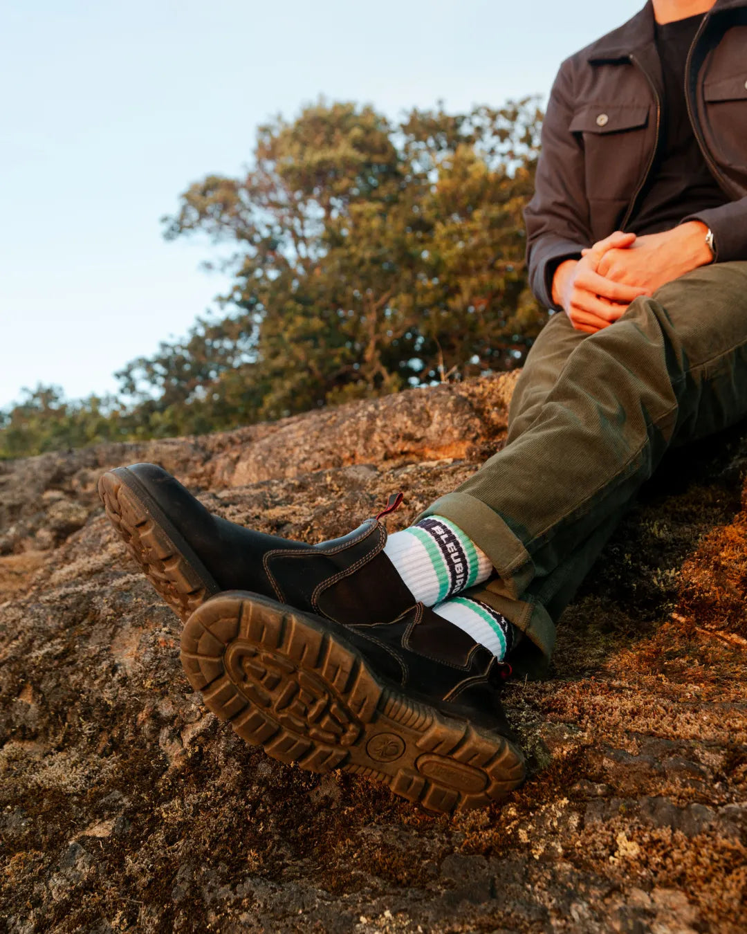 OG Crew Socks - Teal