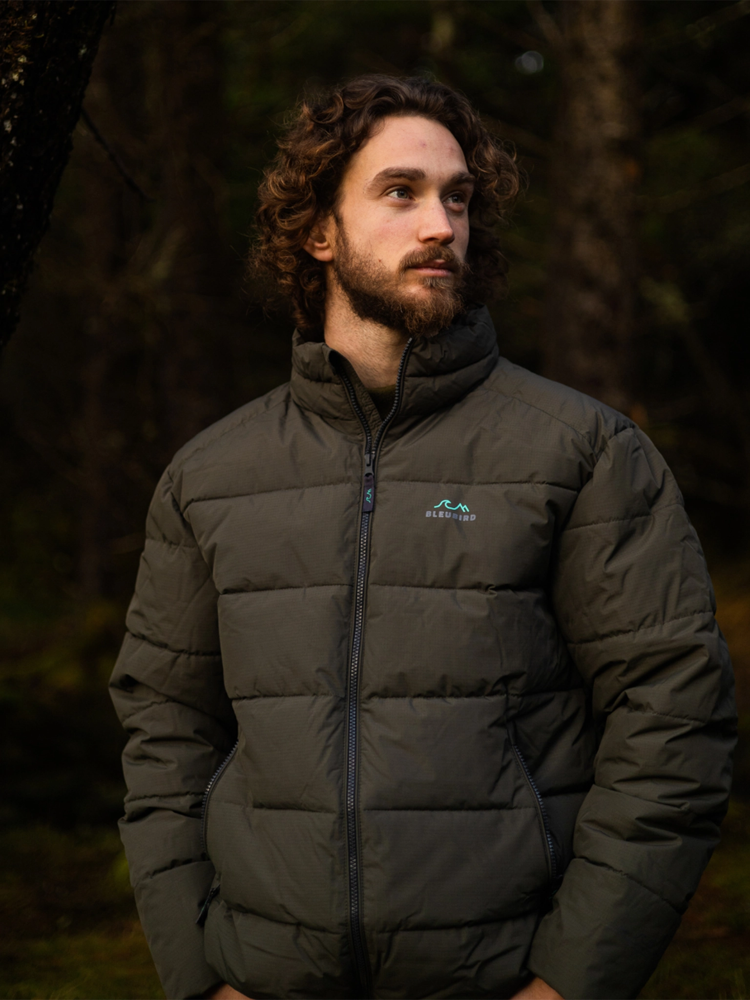 Ventoux Jacket - Mens - Forest