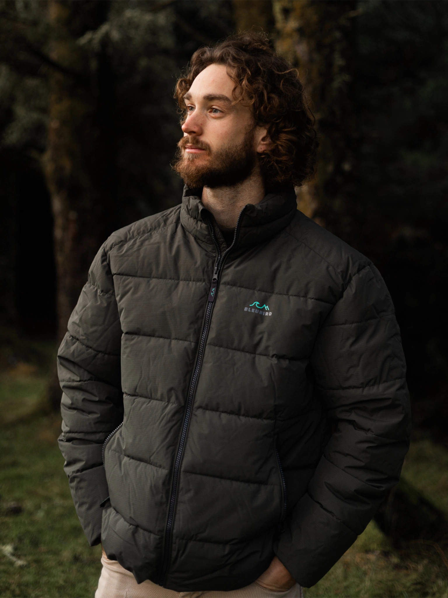 Ventoux Jacket - Mens - Forest