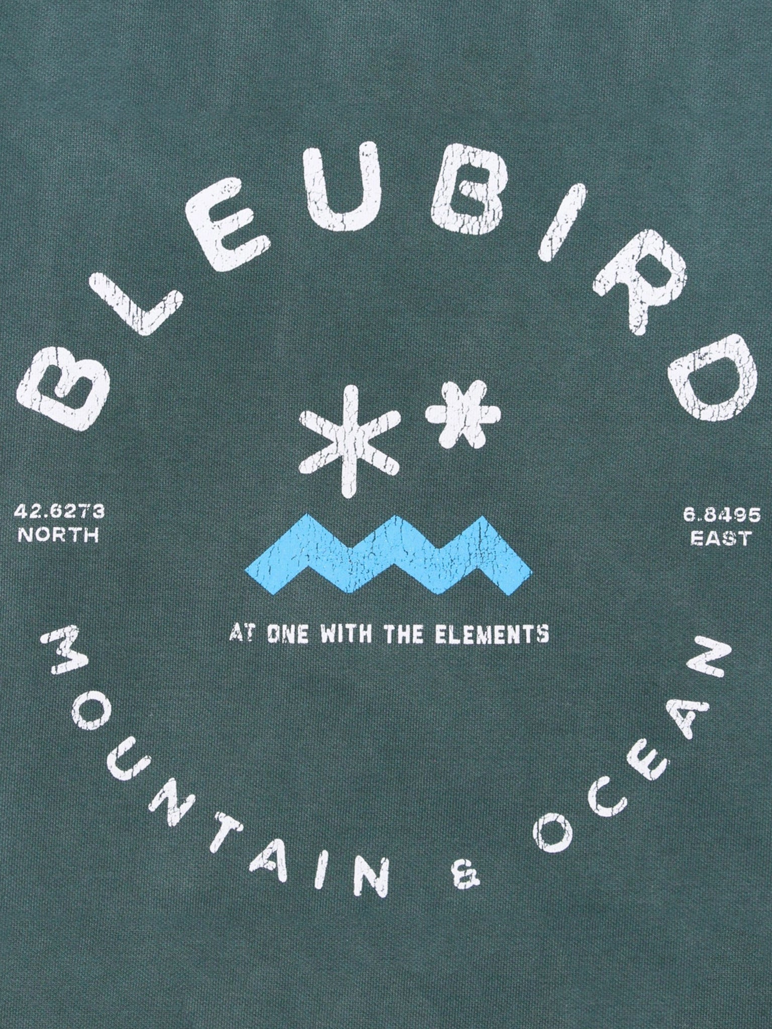 Willow Original Hood