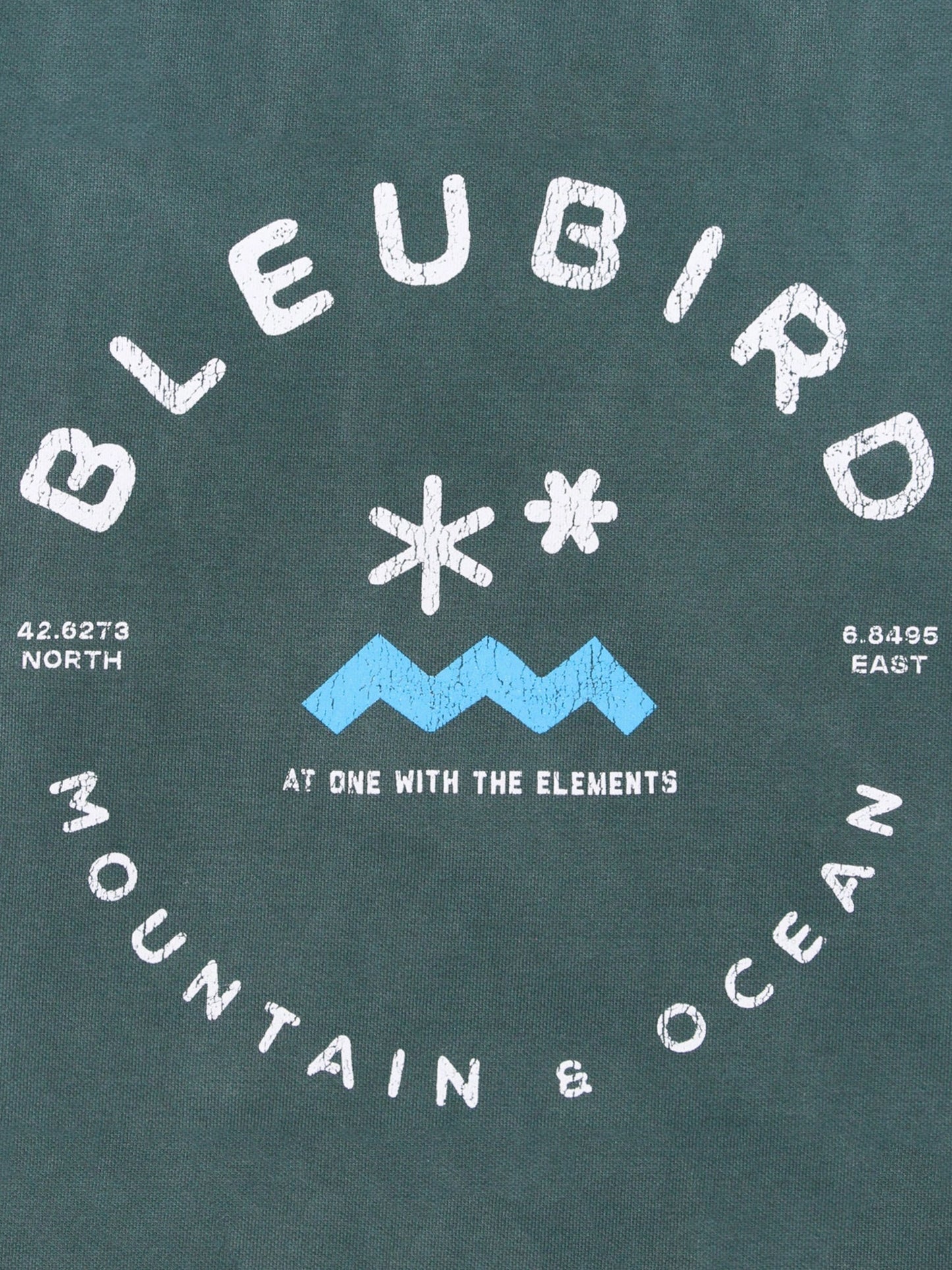 Willow Original Hood