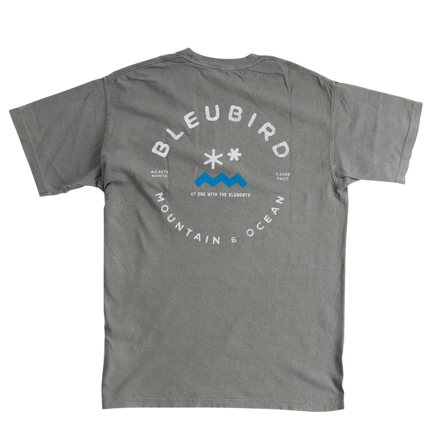 Graphite Original Tee