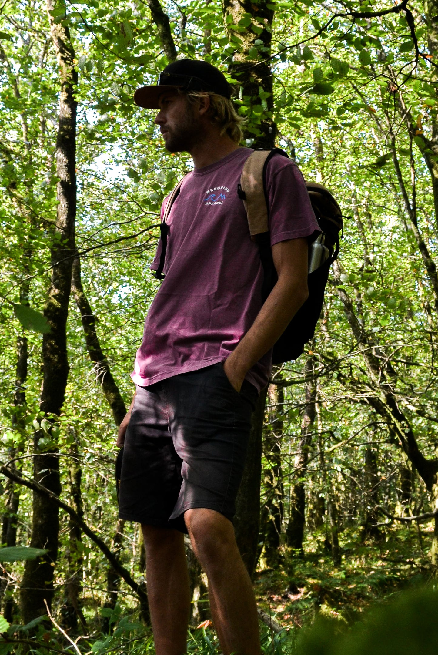 Berry Horizon Tee