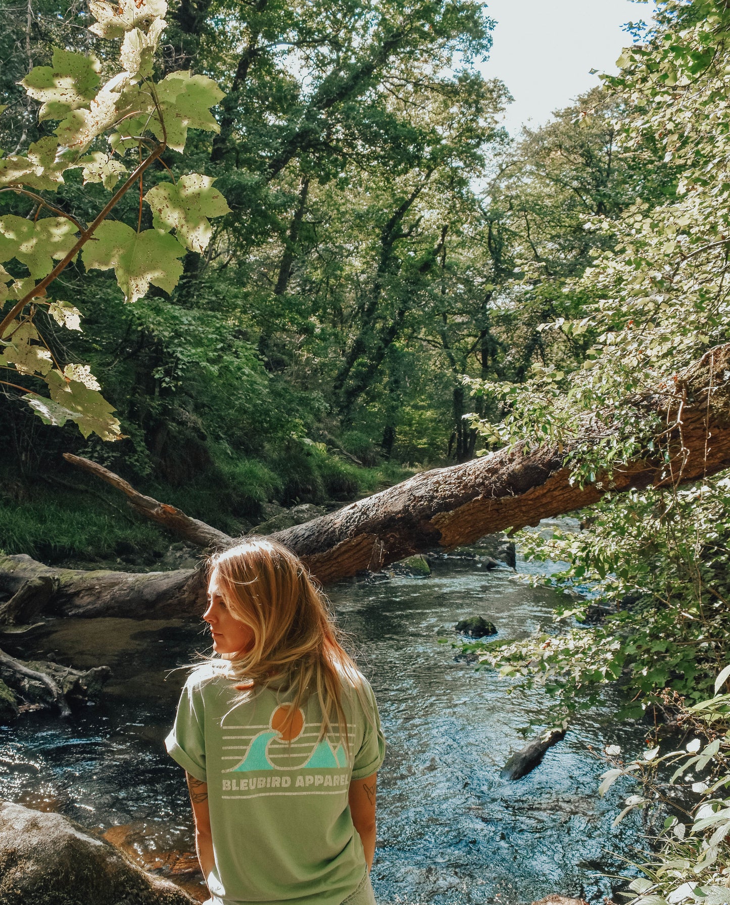 Sage Horizon Tee