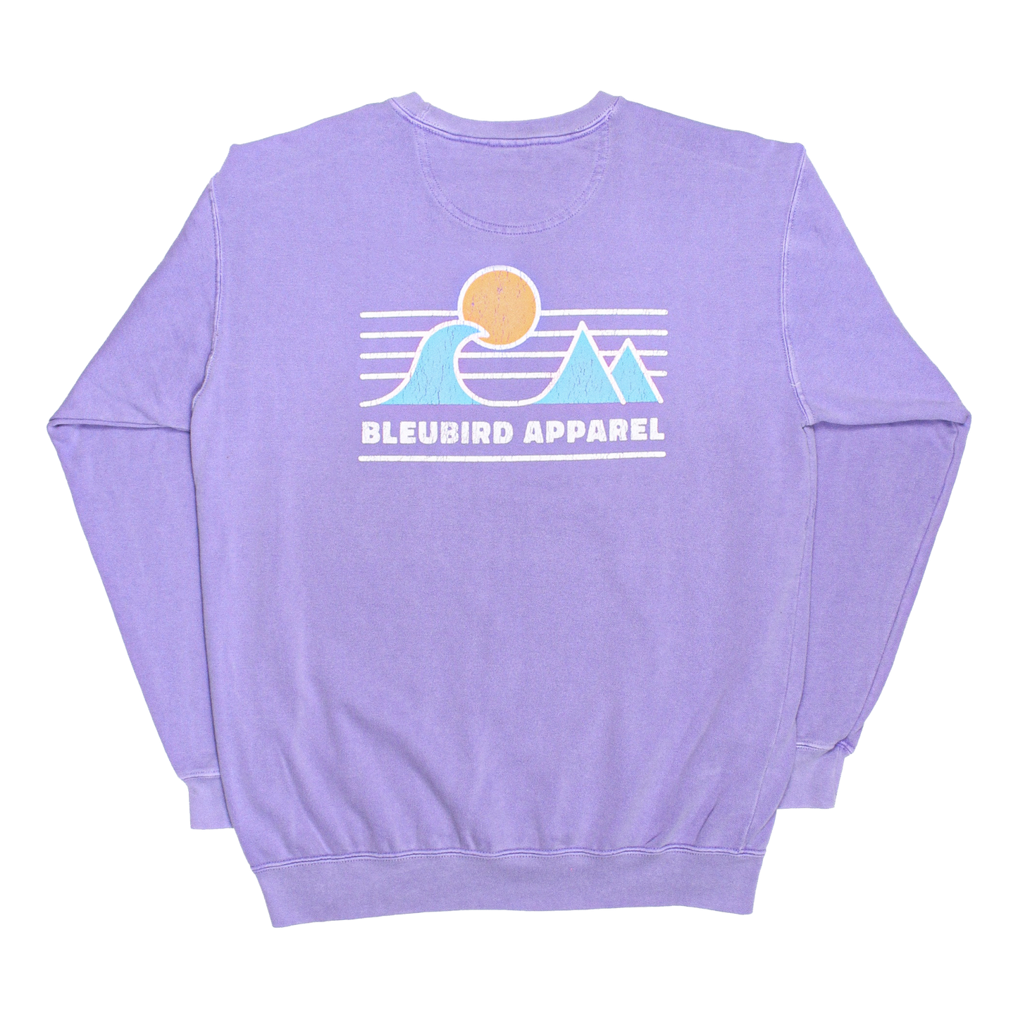 Violet Horizon Crew