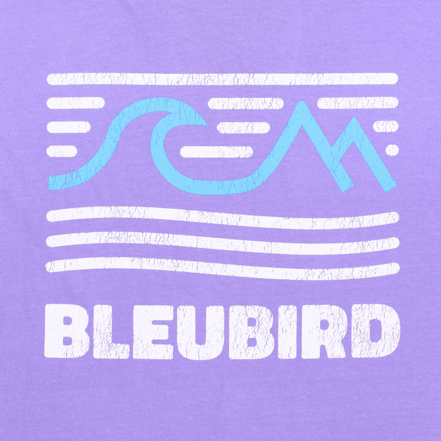 Violet Tides Tee