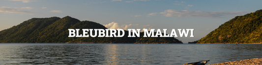 Bleubird in Malawi: An Update