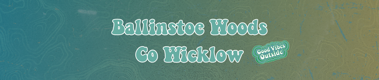 Guide: 10 Ballinstoe Woods, Co Wexford