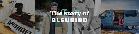 The story of Bleubird