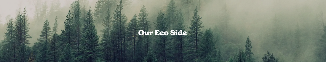 An update on our Eco Side