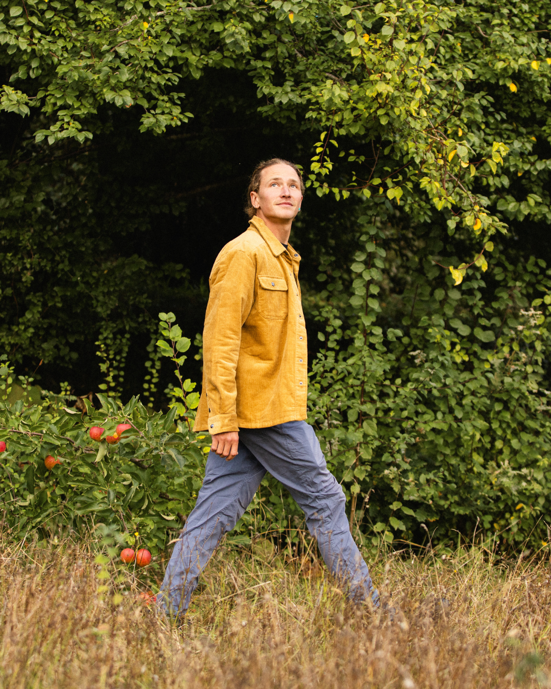 Rambler Overshirt - Mustard