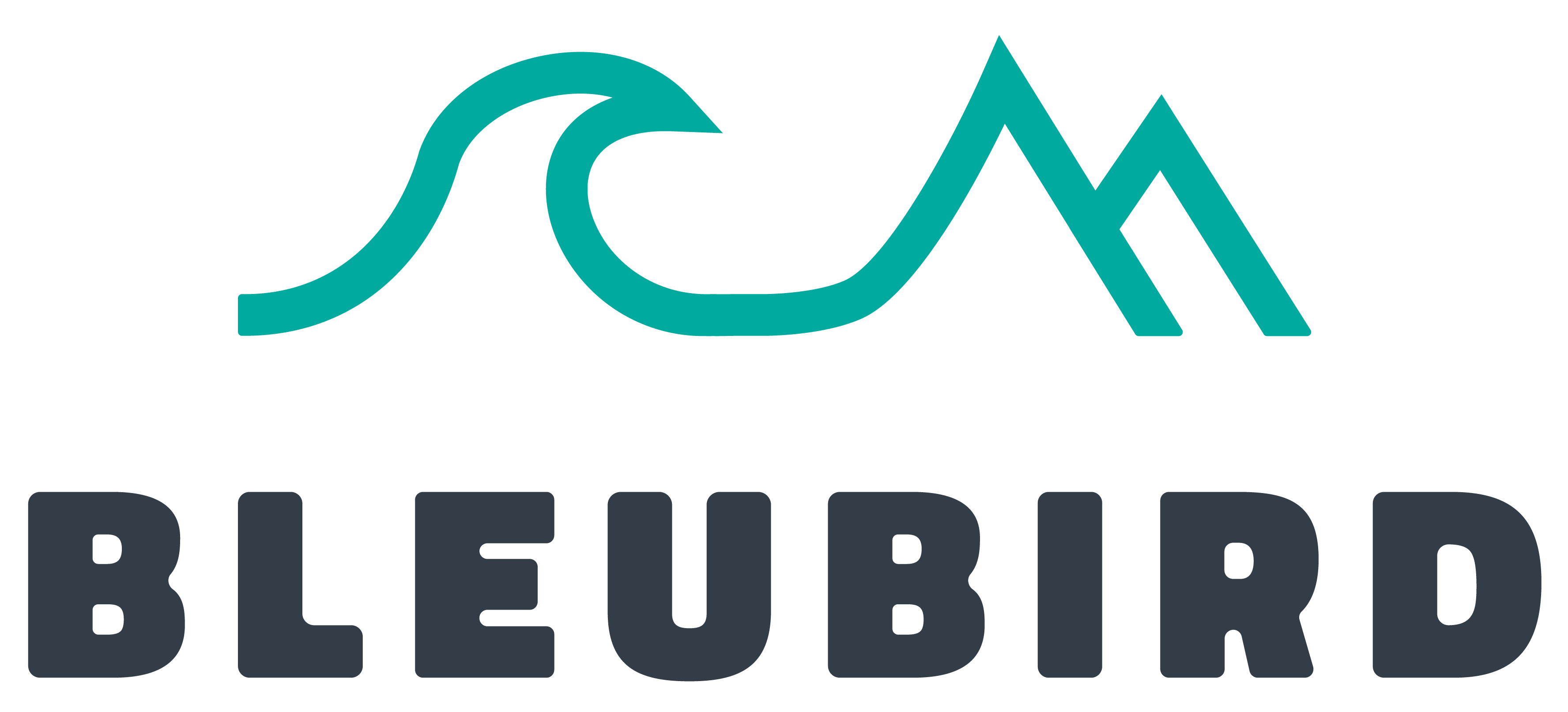 Bleubird | At one with the elements