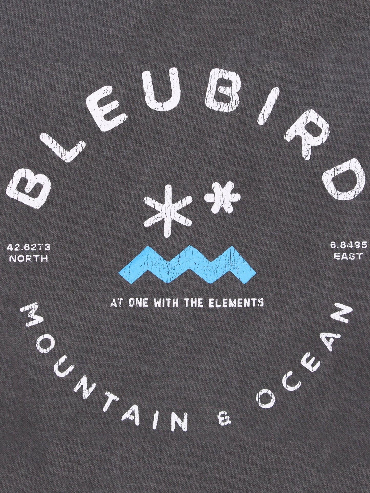 Charcoal Original Hood