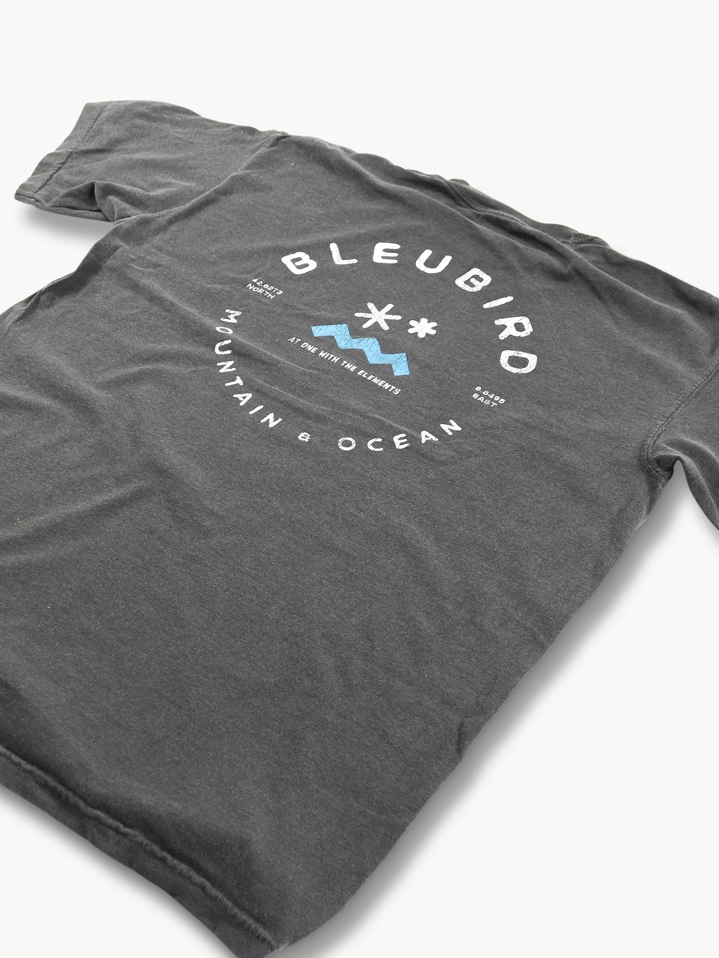 Charcoal Original Tee