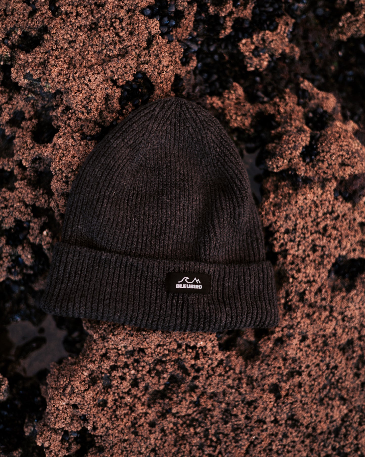 Elements Beanie Recycled - Graphite