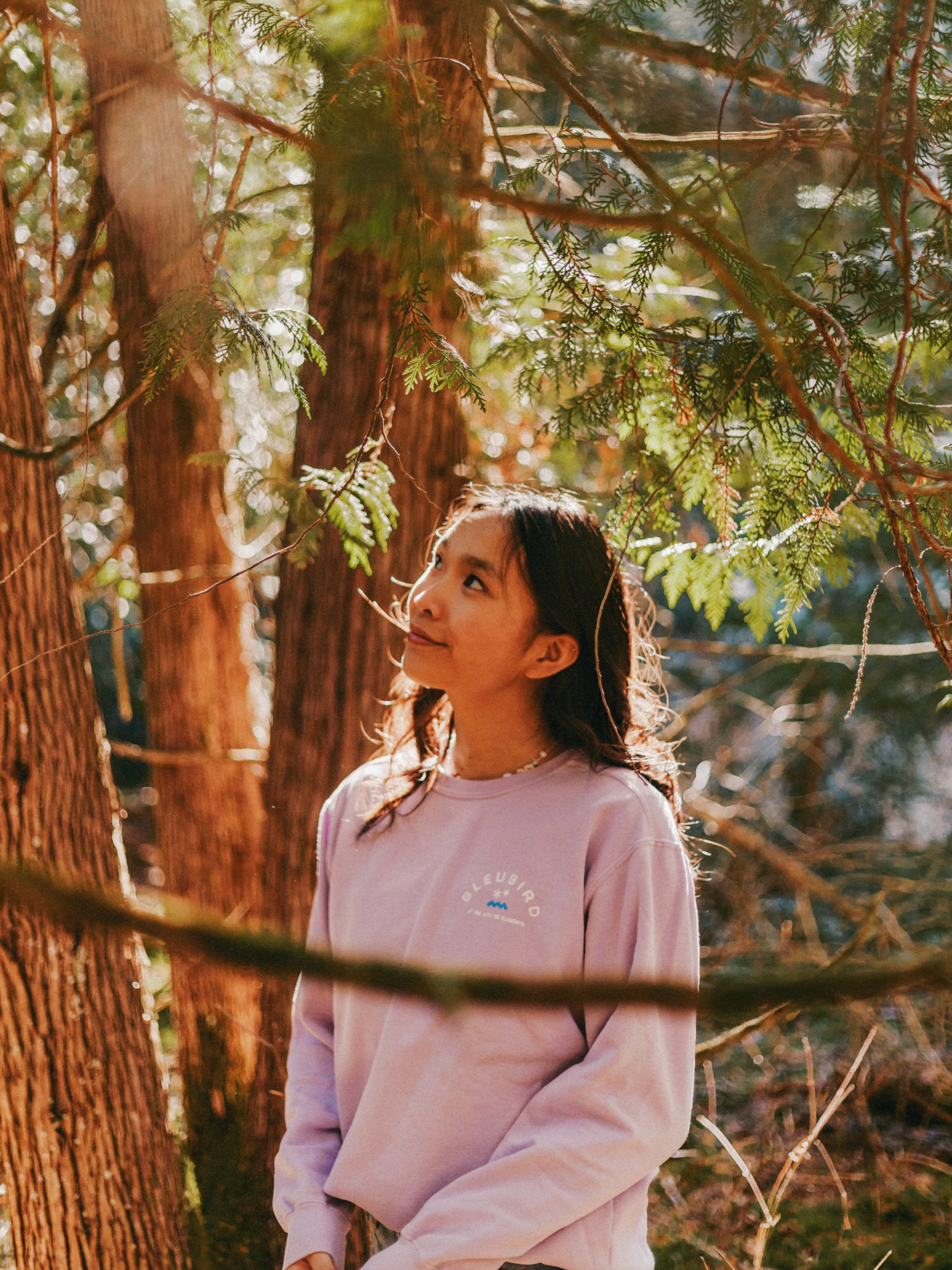 Lavender Original Crew