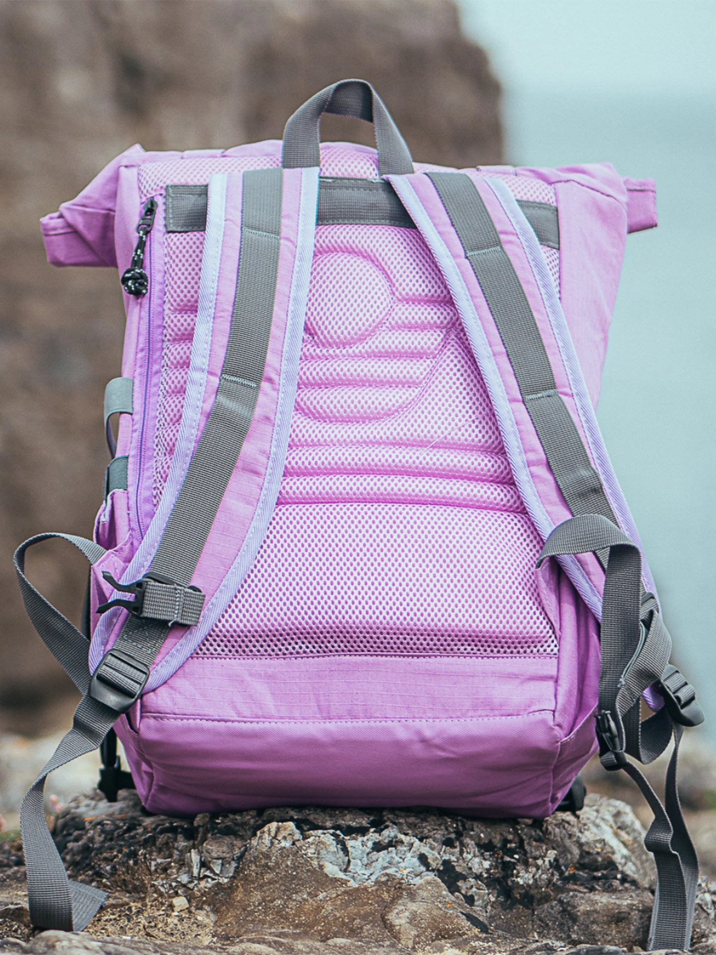 Quest Backpack - Lavender