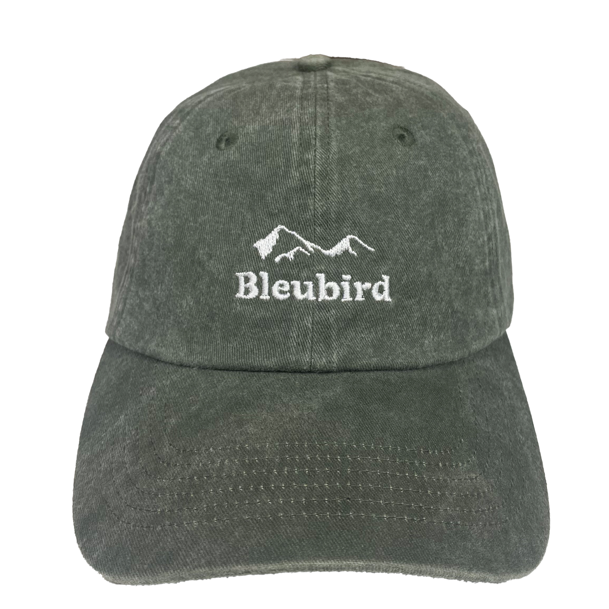 S/Y - Roadie Mountain Cap - Willow