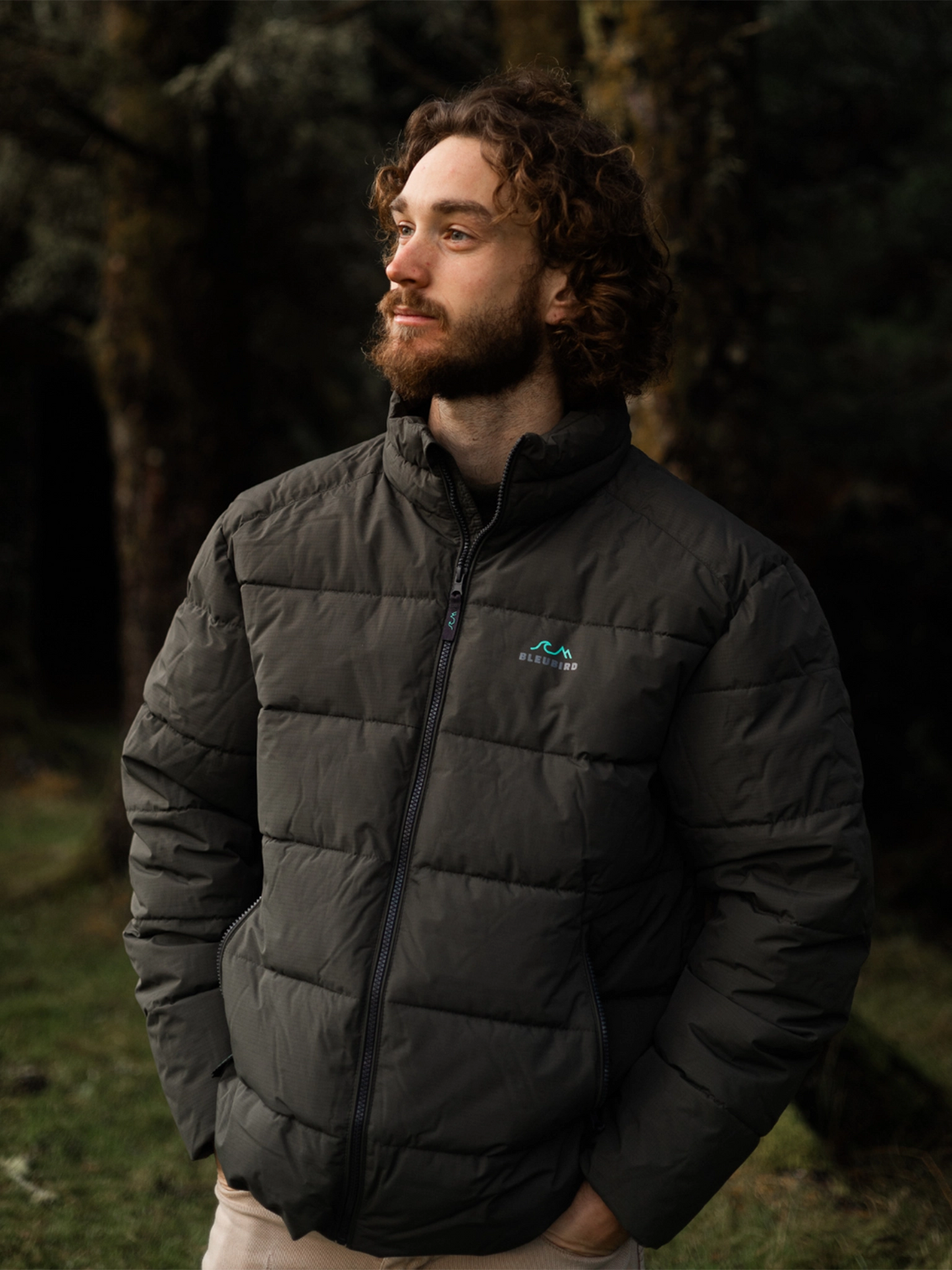 Ventoux Jacket - Mens - Forest